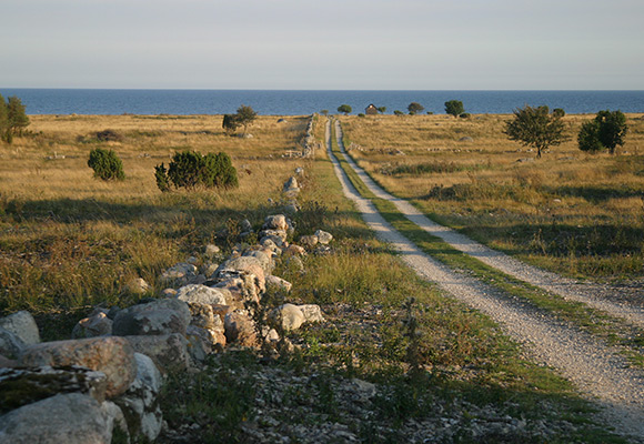Visby