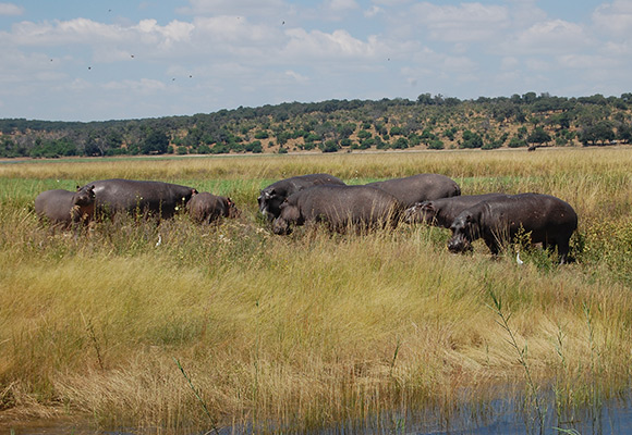 Botswana