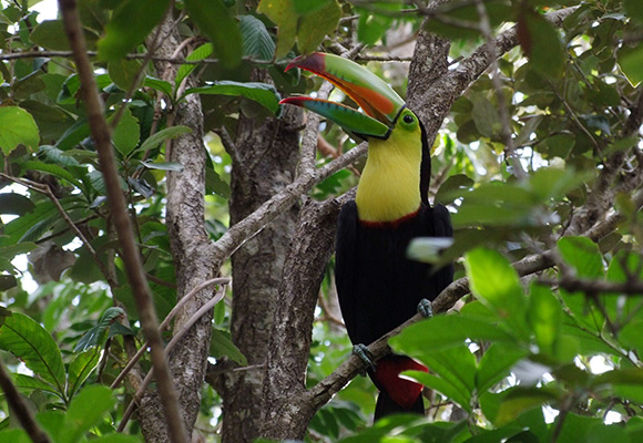 Costa Rica